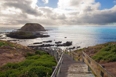 Healesville Sanctuary And Phillip Island Wildlife Bus Tour - Kalgoorlie Accommodation 5