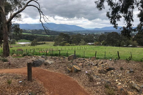 Yarra Valley Wine Tour Inc Lunch With A Glass Of Wine, Tastings And Chocolate - Kalgoorlie Accommodation 0