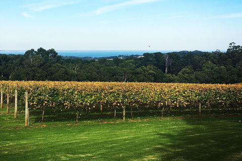 Yarra Valley Wine Tour Inc Lunch With A Glass Of Wine, Tastings And Chocolate - Kalgoorlie Accommodation 2