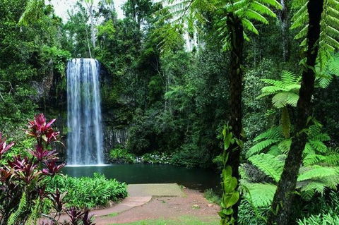 Paronella Park And Millaa Millaa Falls Full-day Tour From Cairns - Kalgoorlie Accommodation 3