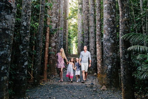Paronella Park And Millaa Millaa Falls Full-day Tour From Cairns - Kalgoorlie Accommodation 5