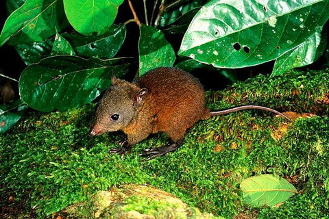 3-Day Small-Group Tour Of North Queensland With Pick Up - Kalgoorlie Accommodation 0