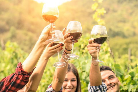 Barossa Valley Cellar Doors Luxury Wine Tour - Kalgoorlie Accommodation 1