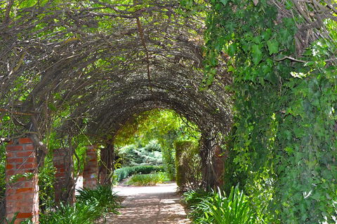 Barossa Valley Cellar Doors Luxury Wine Tour - Kalgoorlie Accommodation 3