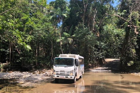 Cairns To Cooktown 4WD Tour - Kalgoorlie Accommodation 5