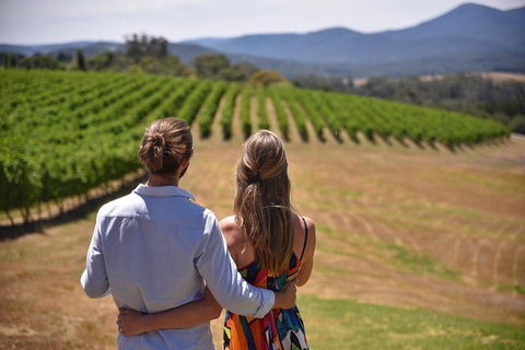 Yarra Valley Wine, Bubbles And Gin Tour! - Kalgoorlie Accommodation 4