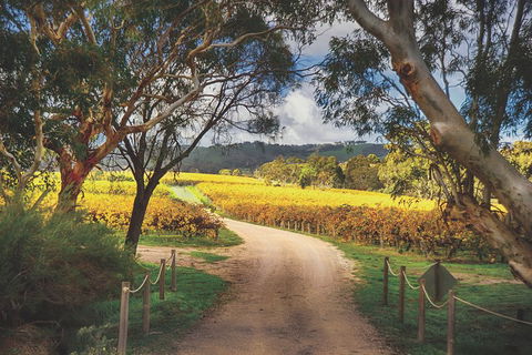 McLaren Vale Winery Small Group Tour With Wine Tasting And Lunch - Kalgoorlie Accommodation 1