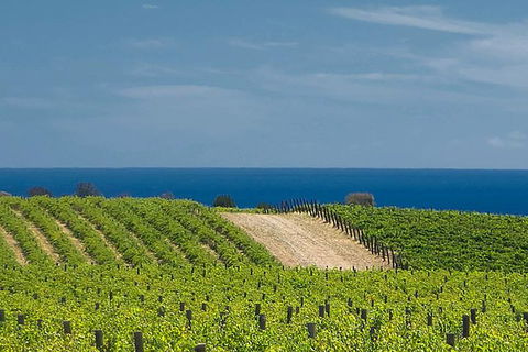 McLaren Vale Winery Small Group Tour With Wine Tasting And Lunch - Kalgoorlie Accommodation 4