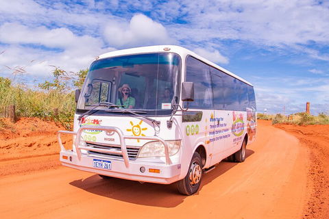 Malcolm Douglas Crocodile Park Tour Including Transportation - Kalgoorlie Accommodation 3
