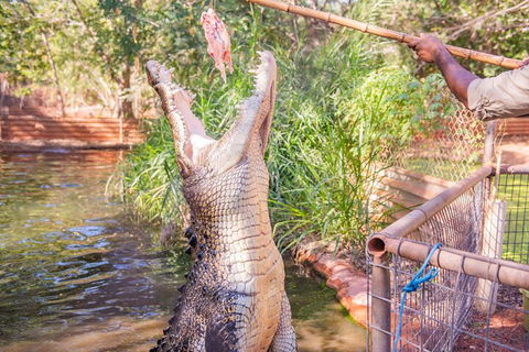 Malcolm Douglas Crocodile Park Tour Including Transportation - Kalgoorlie Accommodation 5