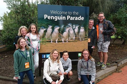 Phillip Island Medium Size Group Tour - Kalgoorlie Accommodation 5
