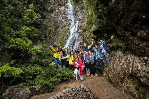 5-Day Lap Of Tasmania Tour From Hobart (flexible Ticket) - Kalgoorlie Accommodation 0
