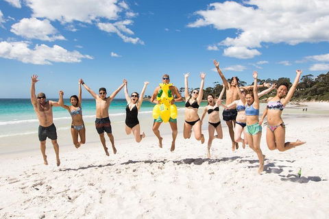 5-Day Lap Of Tasmania Tour From Hobart (flexible Ticket) - Kalgoorlie Accommodation 4