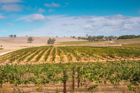 Barossa Valley Private Tour (from 2 To 11 People) - Kalgoorlie Accommodation 2