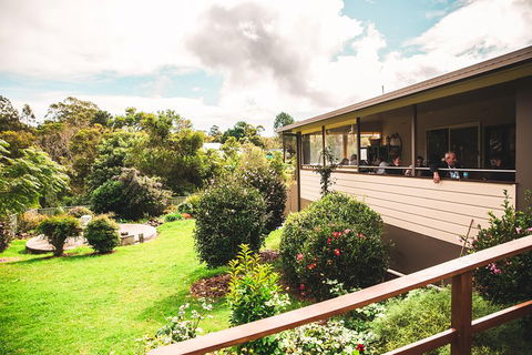 Full-day Springbrook National Park Tour From The Gold Coast - Kalgoorlie Accommodation 2