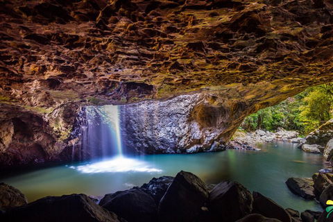 Full-day Springbrook National Park Tour From The Gold Coast - Kalgoorlie Accommodation 3