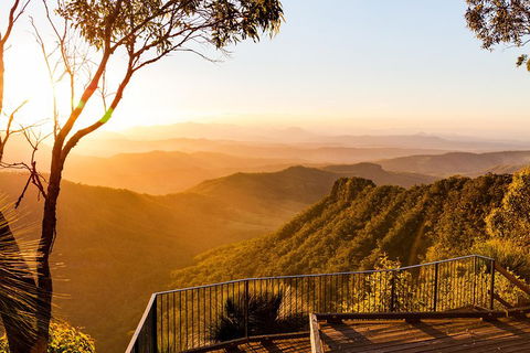 O'Reilly's & Lamington National Park Incl. Alpaca Farm + Vineyard - Kalgoorlie Accommodation 0