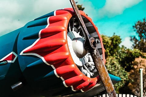 O'Reilly's & Lamington National Park Incl. Alpaca Farm + Vineyard - Kalgoorlie Accommodation 1