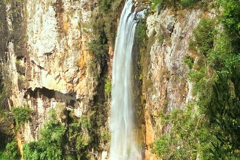 Natural Arch, Rainforest & Volcano Canyon - Private Half Day Tour - Kalgoorlie Accommodation 2
