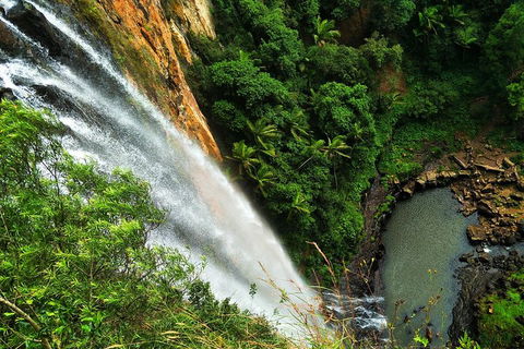 Natural Arch, Rainforest & Volcano Canyon - Private Half Day Tour - Kalgoorlie Accommodation 5