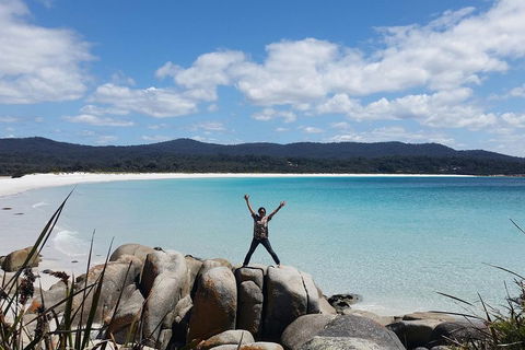 Tasmania 4 Day East Coast + Launceston - Kalgoorlie Accommodation 1