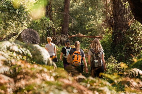 Half-Day Yanchep Ghost House Wilderness Guided Hike Tour - Kalgoorlie Accommodation 5