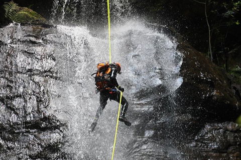 Blue Mountains Empress Canyon Adventure From Wentworth Falls - Kalgoorlie Accommodation 3