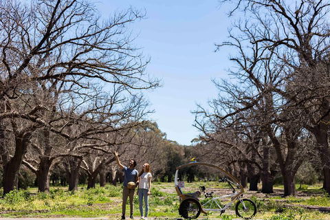Adelaide 90-Minute Pedicab Tour: Scenic Green & River Experience - Kalgoorlie Accommodation 1