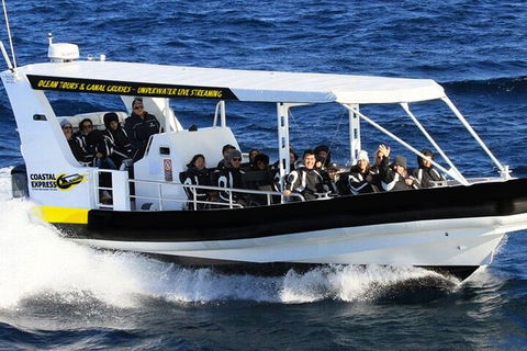 1.5HR Mudjimba Island Wildlife Safari - Kalgoorlie Accommodation 2