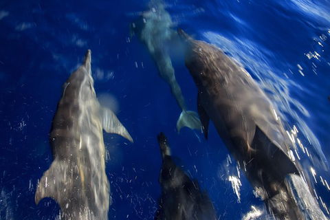 1.5HR Mudjimba Island Wildlife Safari - Kalgoorlie Accommodation 3