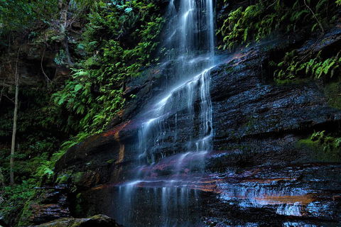 Blue Mountains Off The Beaten Track 4WD Day Adventure - Kalgoorlie Accommodation 4
