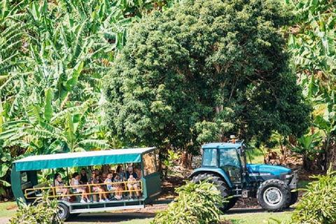 Tropical Fruit World With Wildlife Boat Cruise From Gold Coast - Kalgoorlie Accommodation 1