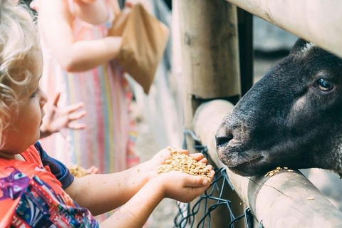 Tropical Fruit World With Wildlife Boat Cruise From Gold Coast - Kalgoorlie Accommodation 5