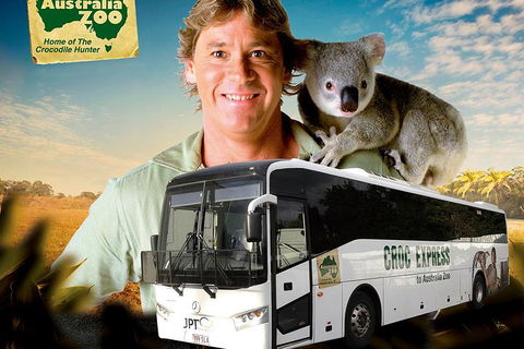Croc Express To Australia Zoo From Brisbane - Kalgoorlie Accommodation 4