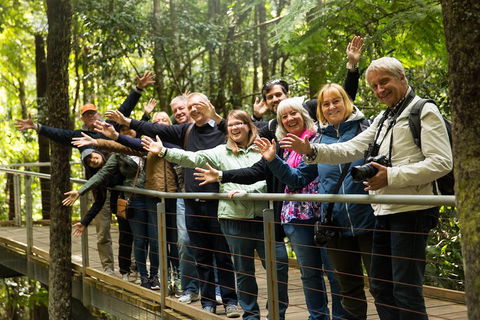 All Inclusive Blue Mountains Small-Group Day Trip From Sydney - Kalgoorlie Accommodation 5