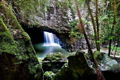 Natural Bridge & Springbrook Waterfalls Tour + Hot Air Balloon With Breakfast - Kalgoorlie Accommodation 4