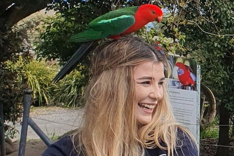 Lamington National Park, O'Reilly's & Vineyard Tour - Kalgoorlie Accommodation 0