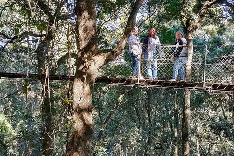 Lamington National Park, O'Reilly's & Vineyard Tour - Kalgoorlie Accommodation 2