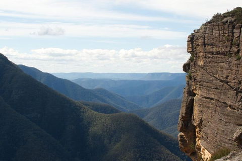 Inside The Greater Blue Mountains World Heritage - A Private Wildlife Safari Overnight - Kalgoorlie Accommodation 4