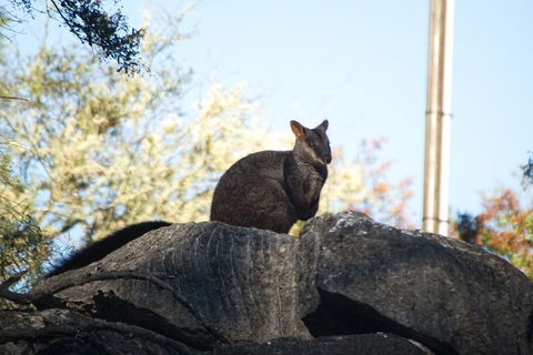 The Explorers' Discovery Tour - Gold, Wine & Wildlife - Kalgoorlie Accommodation 4