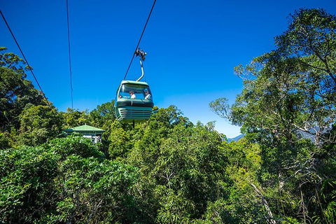 Skyrail Rainforest Cableway Day Trip From Cairns - Kalgoorlie Accommodation 1
