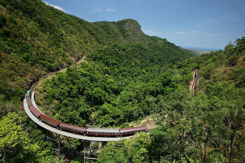 Skyrail Rainforest Cableway Day Trip From Cairns - Kalgoorlie Accommodation 5
