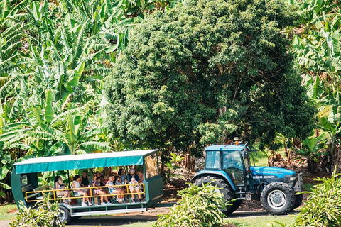 Northern Rivers Full Day Wine Tour - Kalgoorlie Accommodation 1