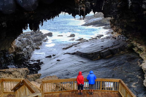 Full-Day Kangaroo Island Safari From Penneshaw - Kalgoorlie Accommodation 1