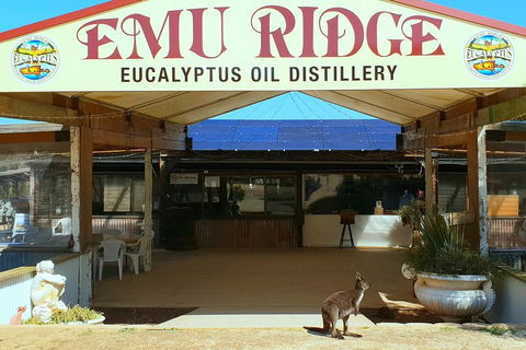 Full-Day Kangaroo Island Safari From Penneshaw - Kalgoorlie Accommodation 2
