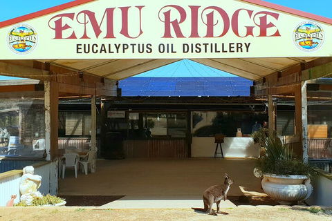 2-Day Kangaroo Island Safari From Adelaide - Kalgoorlie Accommodation 4