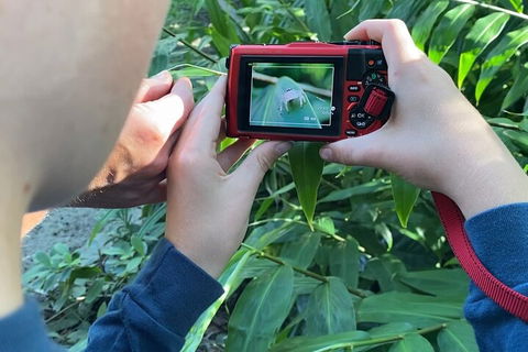 Let's Go Buggin & Let's Go Shroomin - Photography & Nature Walking Tours - Kalgoorlie Accommodation 2