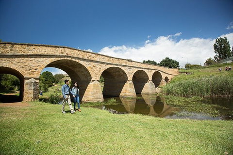 Bonorong Wildlife Park And Richmond Afternoon Tour From Hobart - Kalgoorlie Accommodation 0