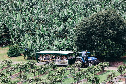 Tropical Fruit World Farm Full Tour - Kalgoorlie Accommodation 5