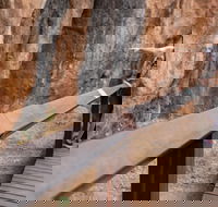 Chillagoe Caves and Outback Day Trip from Cairns - Kalgoorlie Accommodation